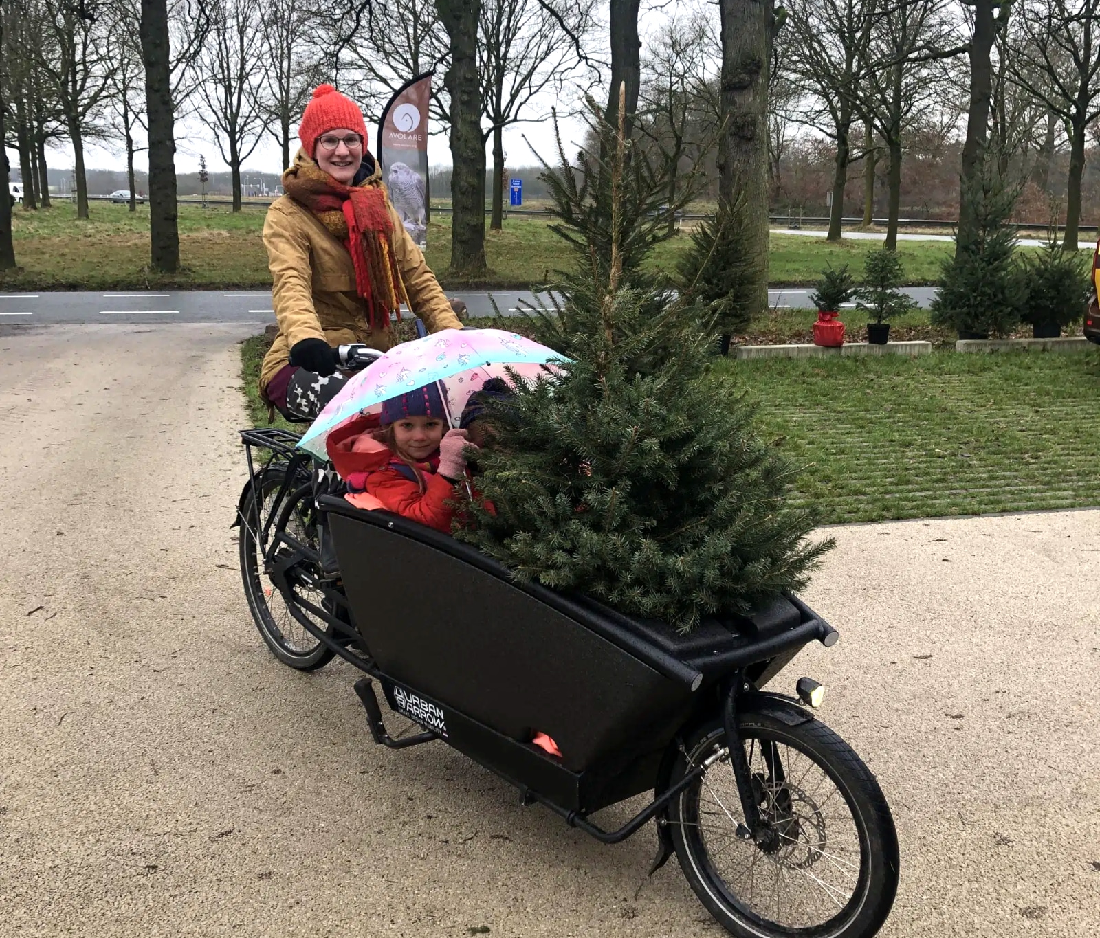 Featured image for “95 kerstbomen voor roofvogelverblijf”